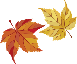 English ESL Worksheet – Autumn Leaves