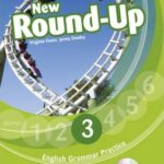Round Up Grammar Practice 3