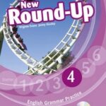 Round Up Grammar Practice 4