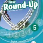 Round Up Grammar Practice 5