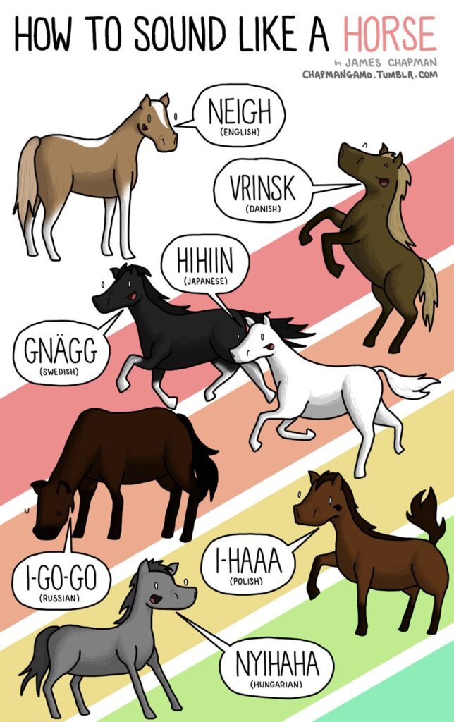 Animal Sounds in the World