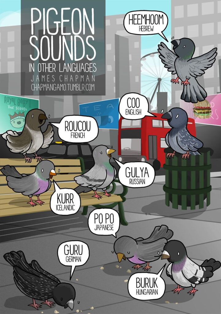Animal Sounds in the World by James Chapman - Language Advisor