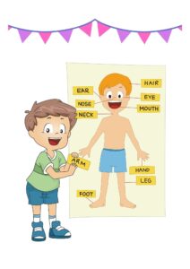 English for Kids – Body Parts