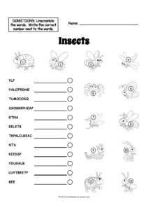 Insects Vocabulary Worksheet