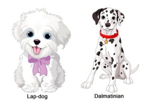 English EFL Flashcards for Children – Dogs