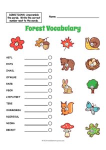 Forest Vocabulary Worksheet
