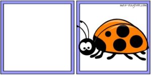 Learning with Flashcards: The Insects