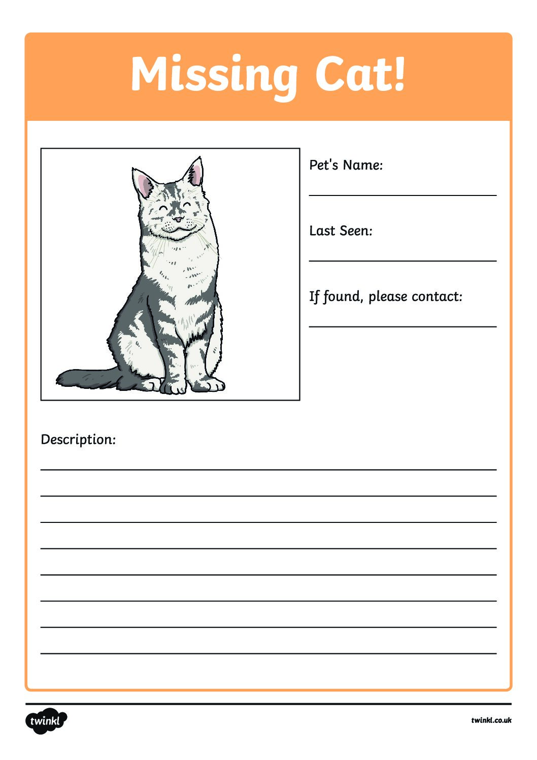 Pet writing 3. MS.Cat. Missing Cat. Describe your Pet. Pet writing.
