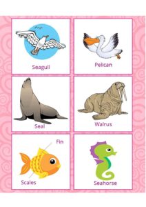 English Esl Flashcards – Sea Animals