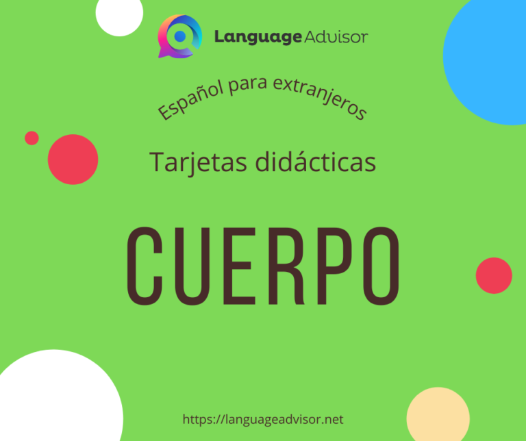 Tarjetas didácticas: Cuerpo