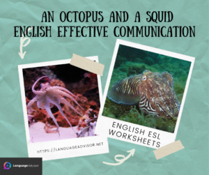 An Octopus and a Squid  – English Effective Communication
