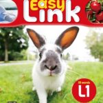 Easy Link 1