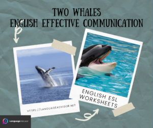 Two Whales  – English Effective Communication