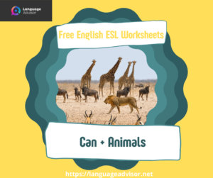 English ESL Worksheets: Can + Animals