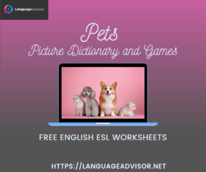 Pets – Worksheets on Vocabulary