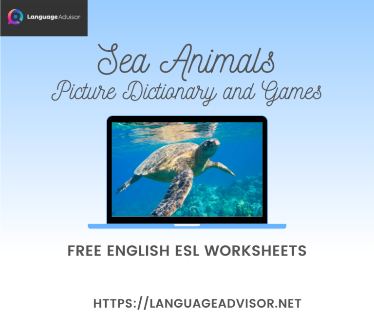 Sea Animals