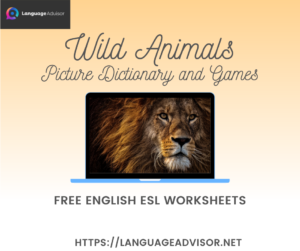 Wild Animals – Worksheets on Vocabulary