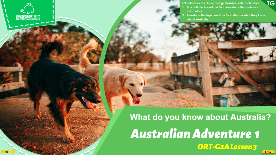 Oxford Reading Tree PPTs: Australian Adventure