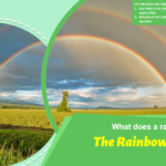 Oxford Reading Tree PPT: The Rainbow Machine
