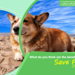 Oxford Reading Tree PPTs: Save
