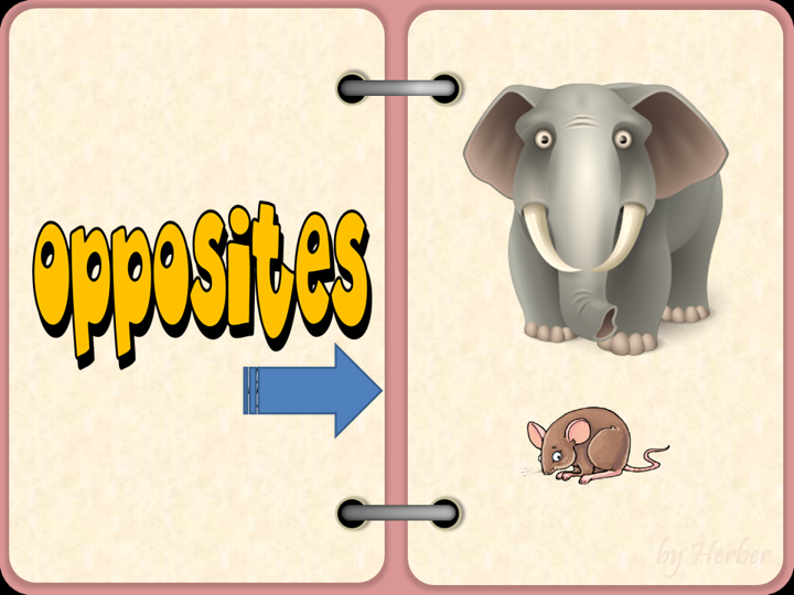 ESL English PowerPoint: Opposites