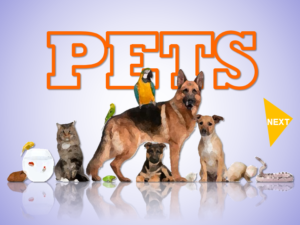 ESL English PowerPoint: Pet Animals