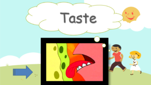 ESL English PowerPoint: Taste and Flavours