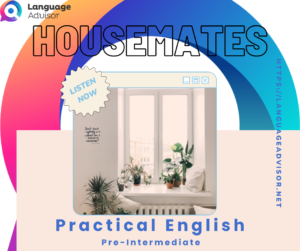 Housemates – Practical English
