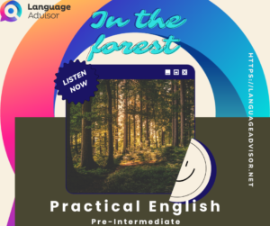 In the forest – Practical English