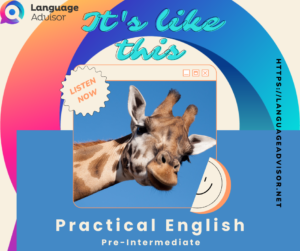 It’s like this – Practical English