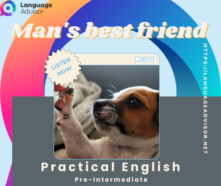 Man’s best friend – Practical English