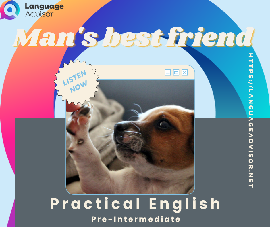 Man s Best Friend Practical English Language Advisor