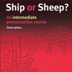 Ship or Sheep
