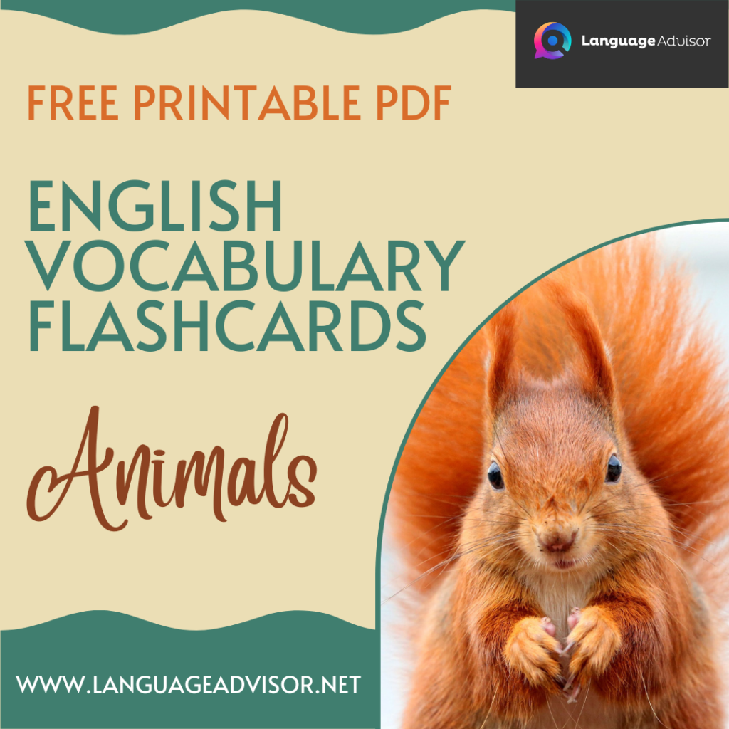 english-vocabulary-flashcards-animals-language-advisor