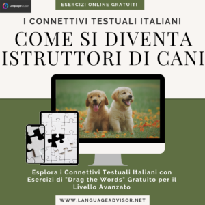 Come si diventa istruttori di cani – I connettivi italiani