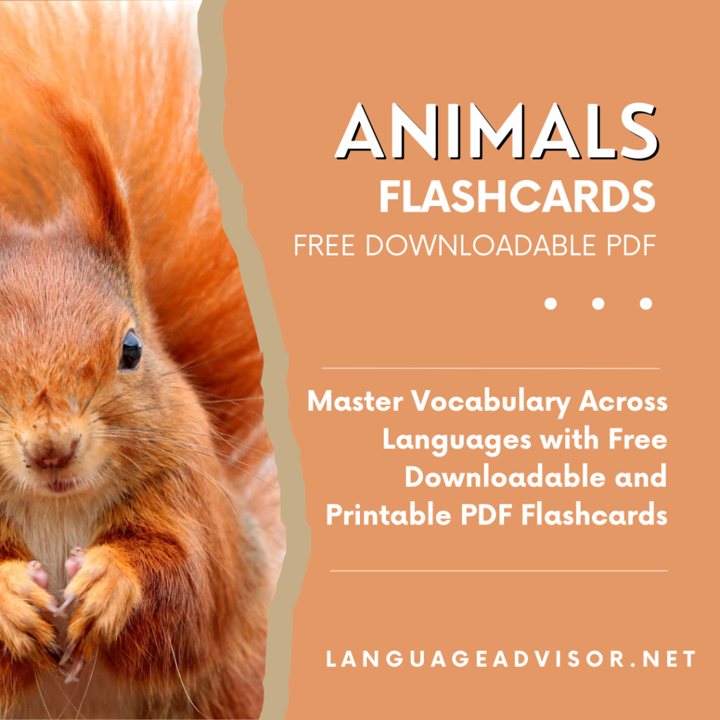 Animals Flashcards Language Advisor