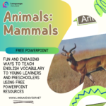 Animals Mammals