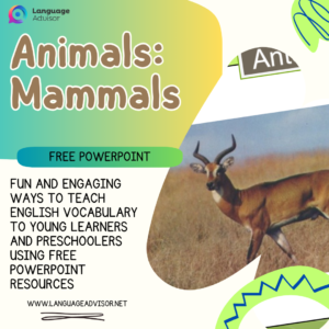 Animals: Mammals