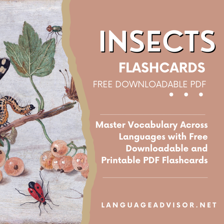 Insects