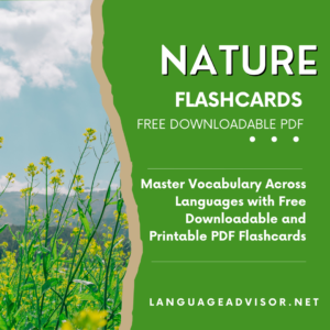Nature – Flashcards