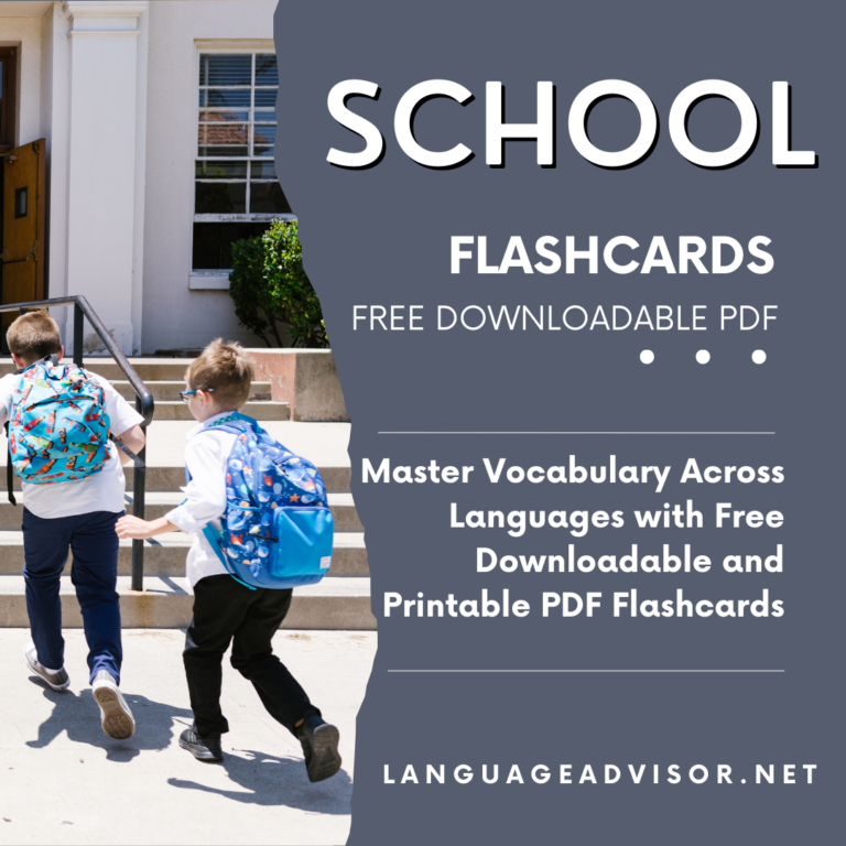 School – Flashcards