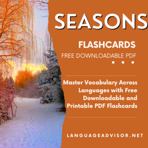 Seasons – Flashcards