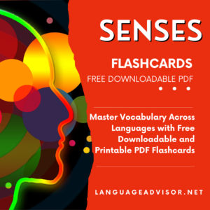 Senses – Flashcards
