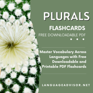 Plurals – Flashcards