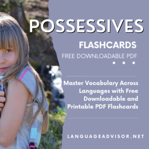 Possessives – Flashcards