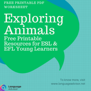 Exploring Animals