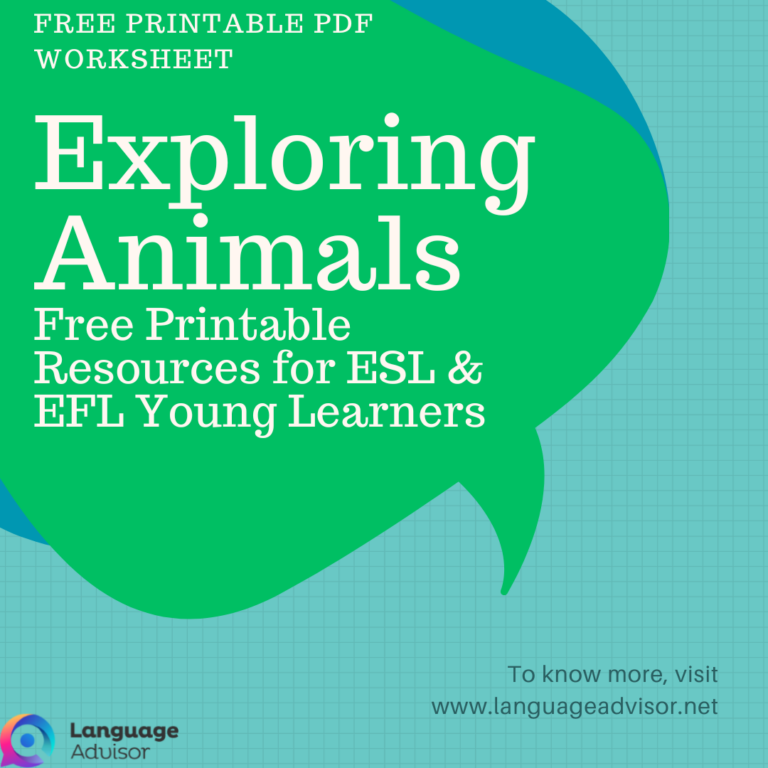 Exploring Animals